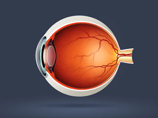 Eye Image